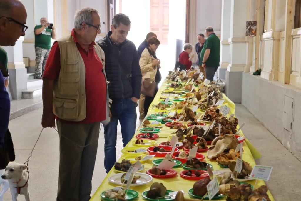 Mostra micologica palazzo San Giorgio