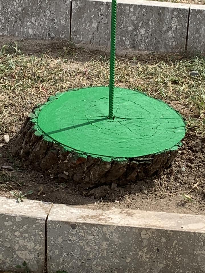 alberi pitturati verde piazza castello