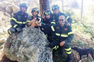 cane-salvato-vigili-del-fuoco