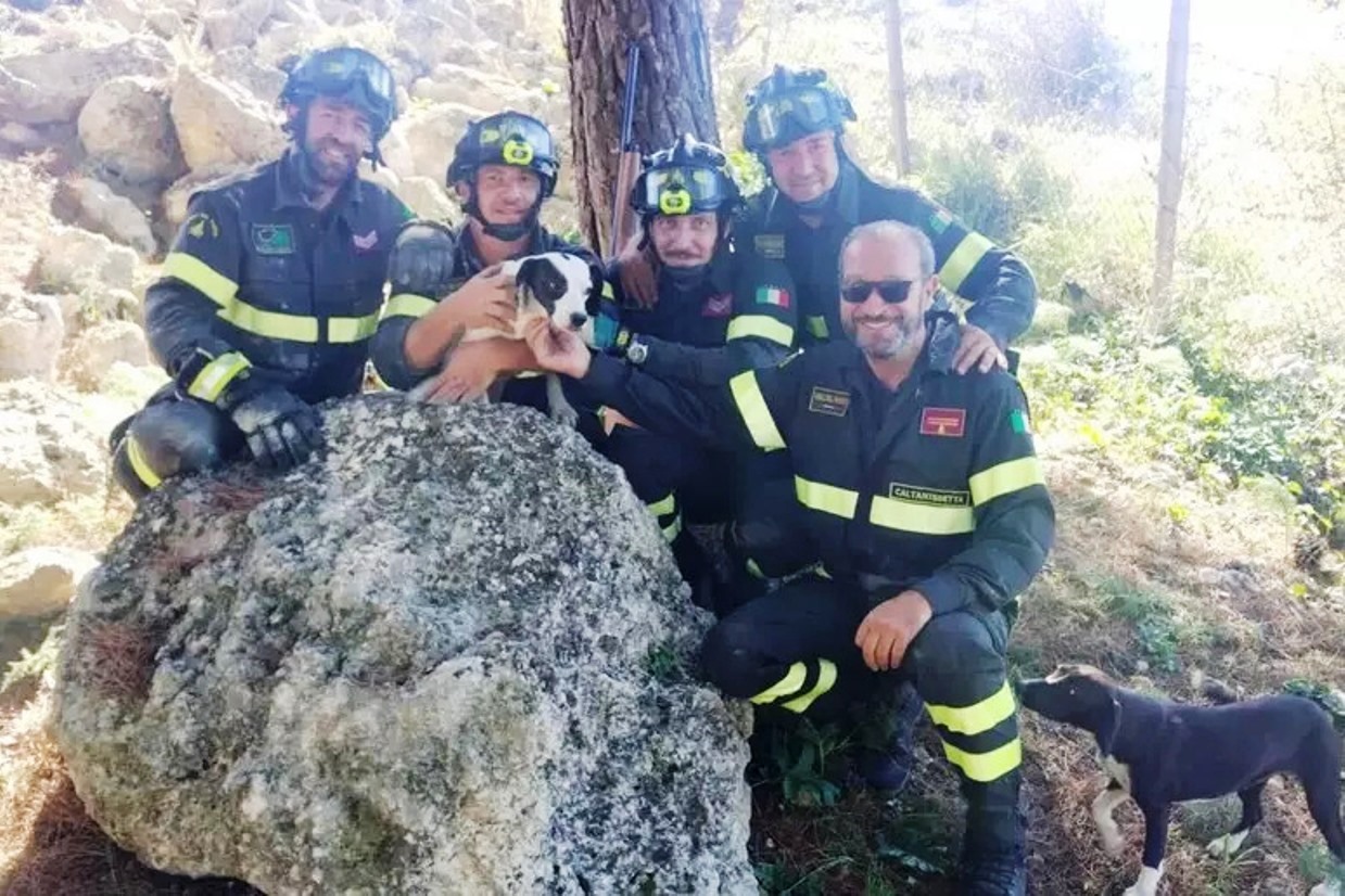 cane-salvato-vigili-del-fuoco