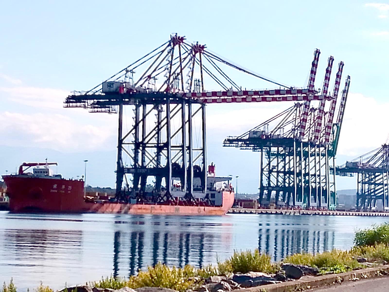 nuove gru porto gioia tauro (1)