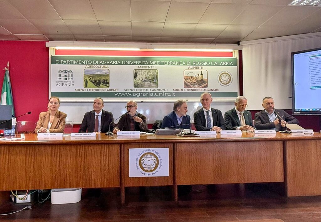 Presentazione FLOS OLEI 2025 all'Università Mediterranea