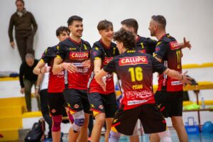 Serie B Tonno Callipo Volley