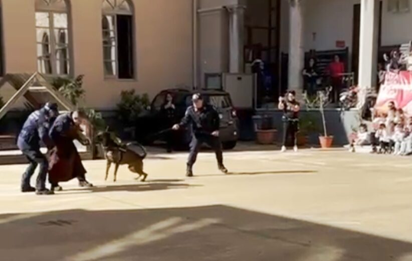 Simulazione scuola Palermo