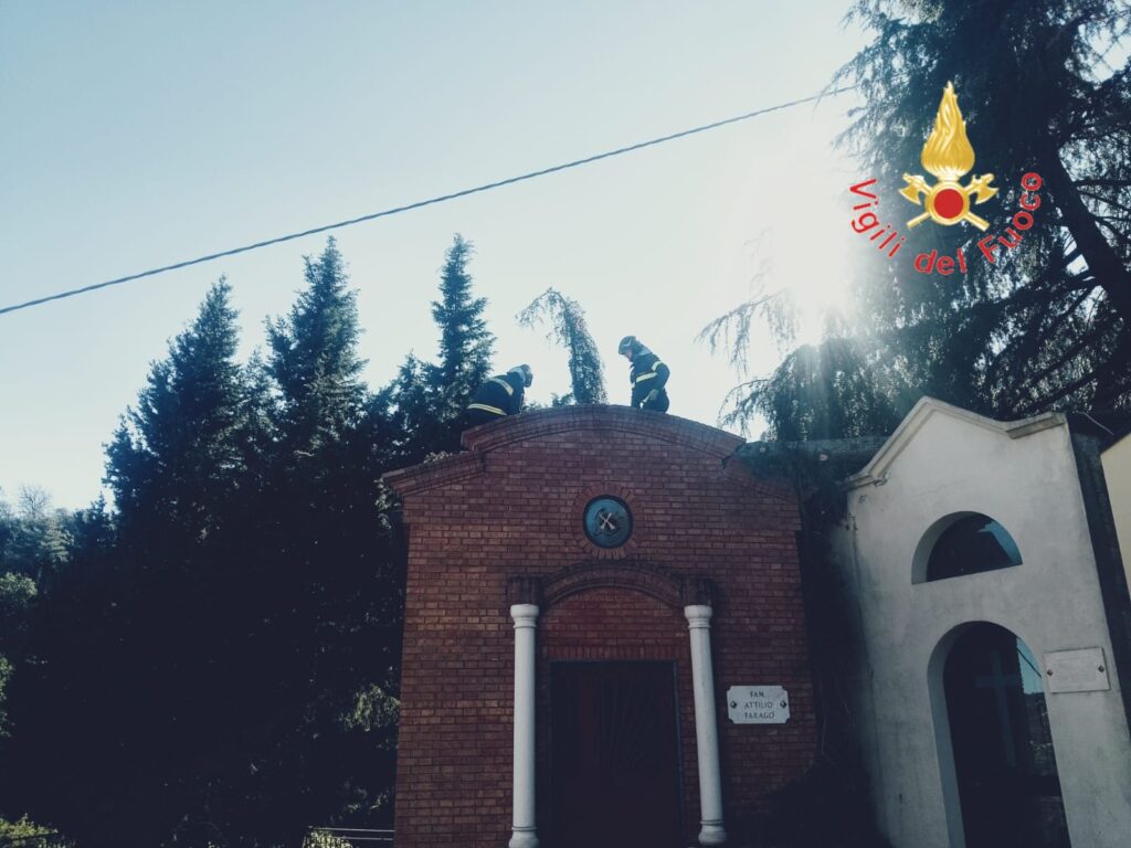 Vigili Fuoco Catanzaro
