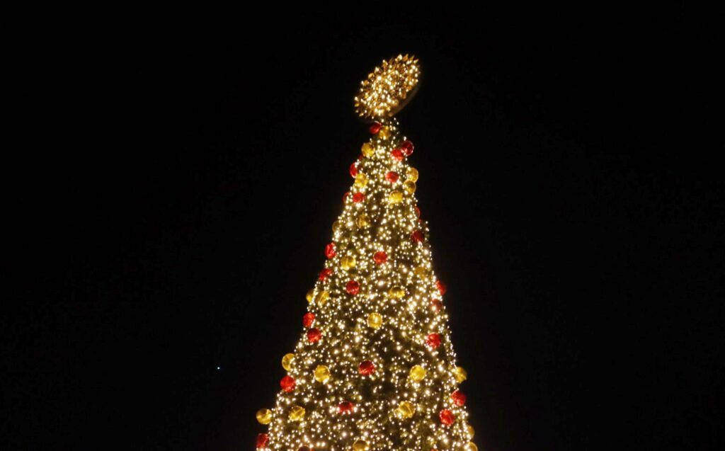 accensione albero natale reggio calabria 2024