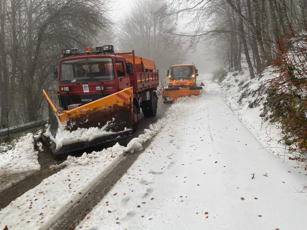 Emergenza neve SS.PP. 166 e 168