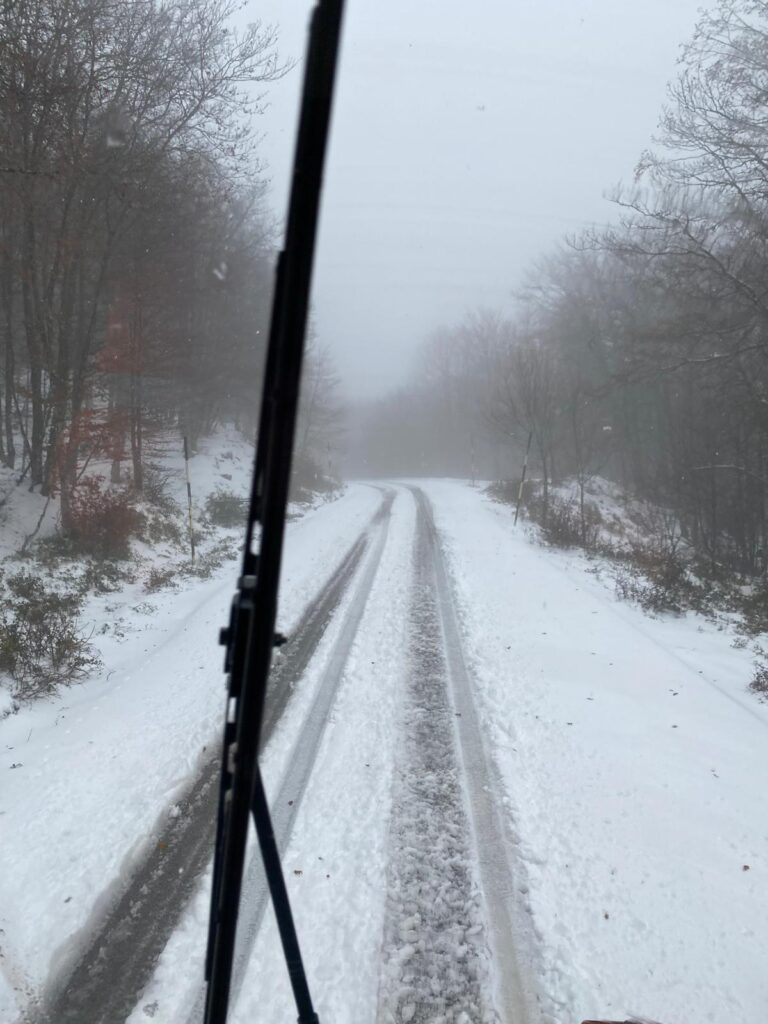 Emergenza neve SS.PP. 166 e 168