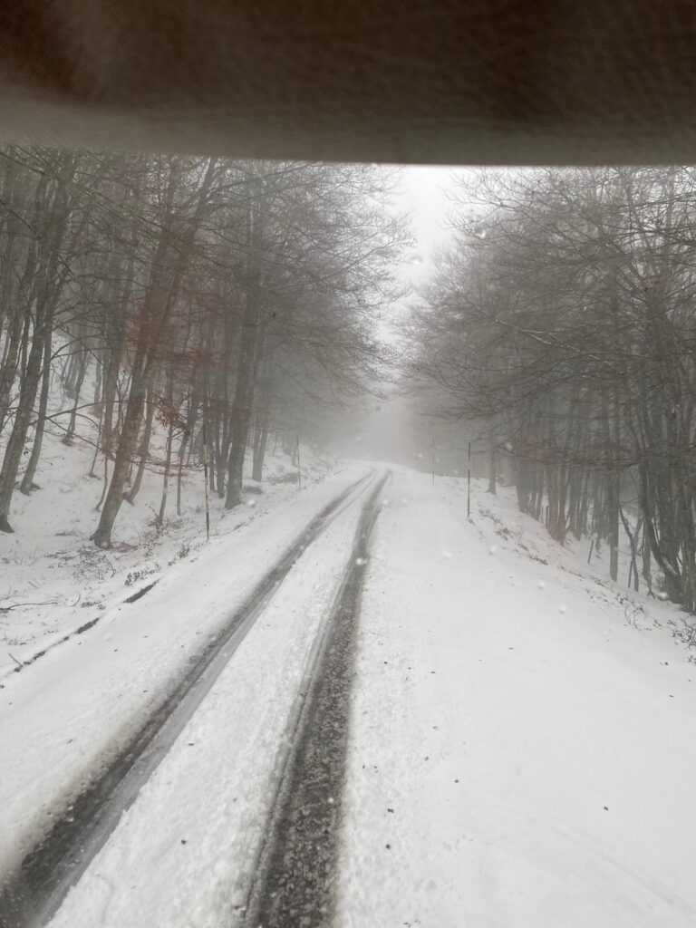 Emergenza neve SS.PP. 166 e 168