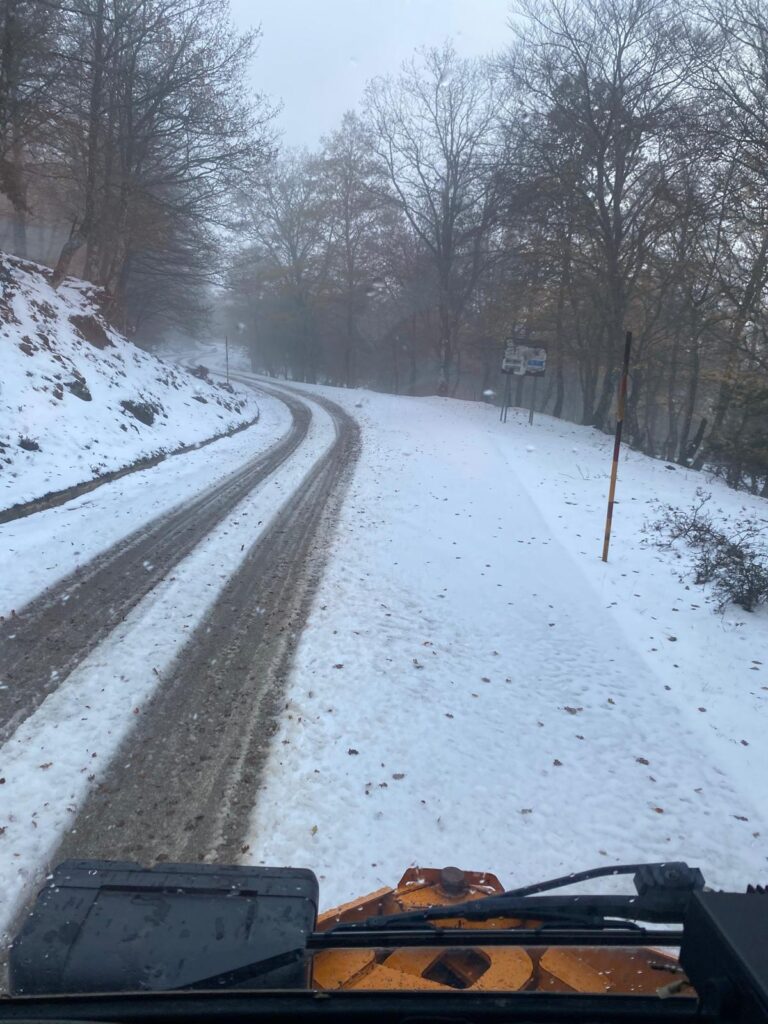 Emergenza neve SS.PP. 166 e 168