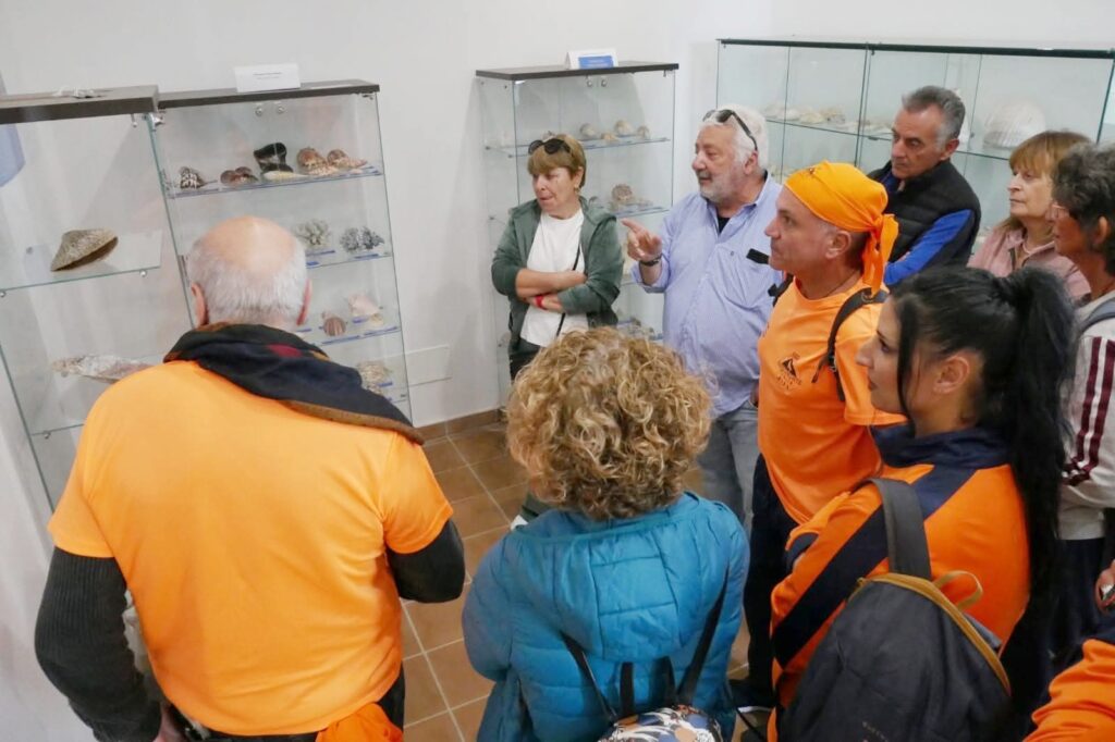 Fitwalking costa viola e degli dei