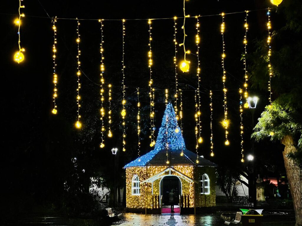 Natale Messina 2024