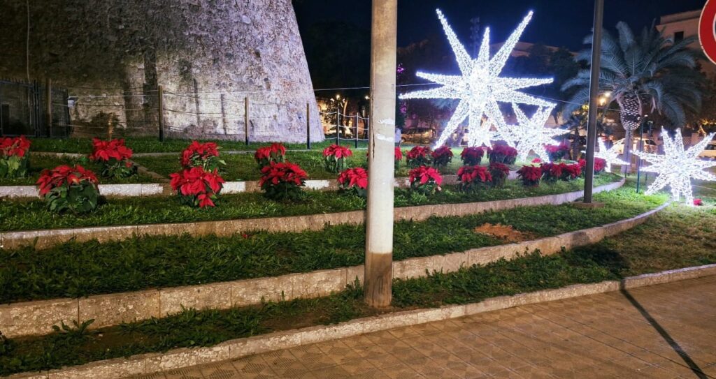 aiuole natale