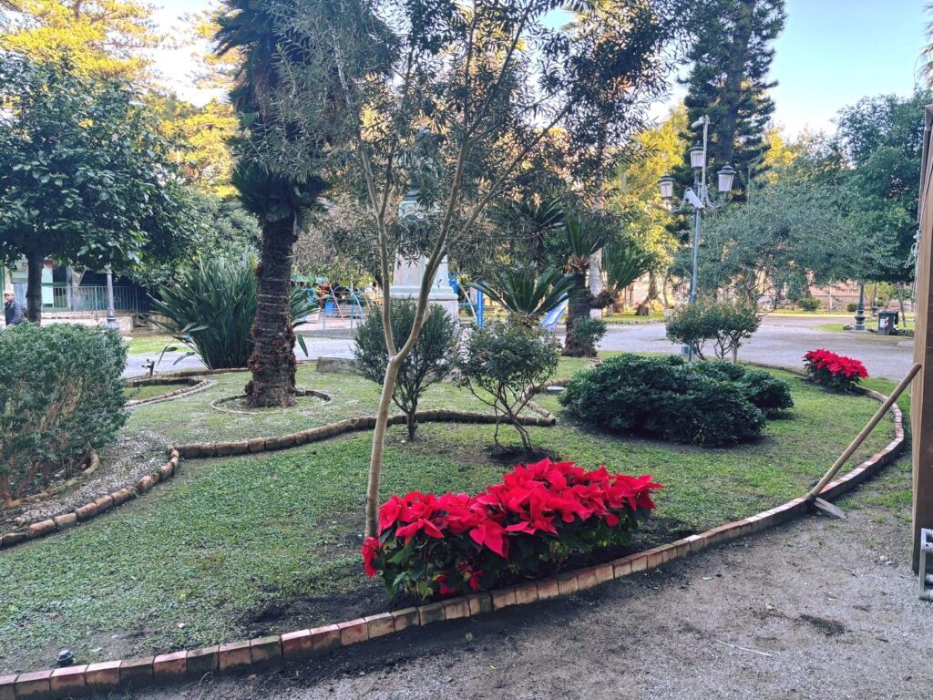 aiuole natale
