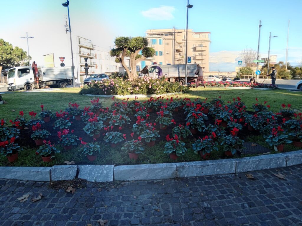 aiuole natale
