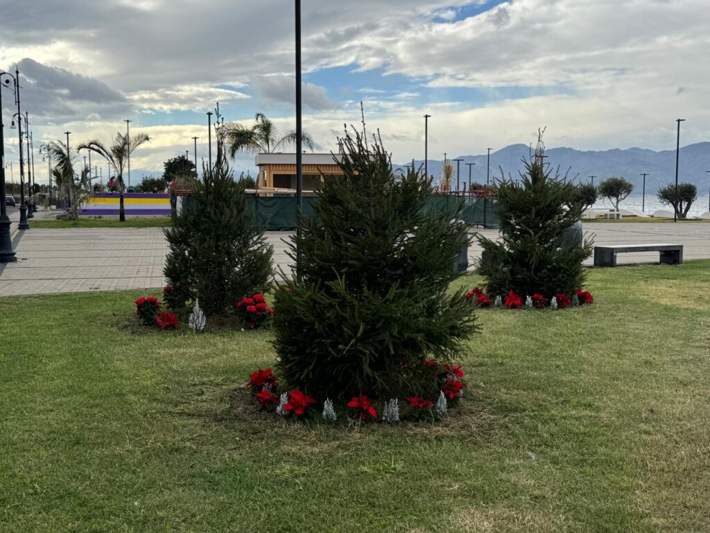 aiuole natale