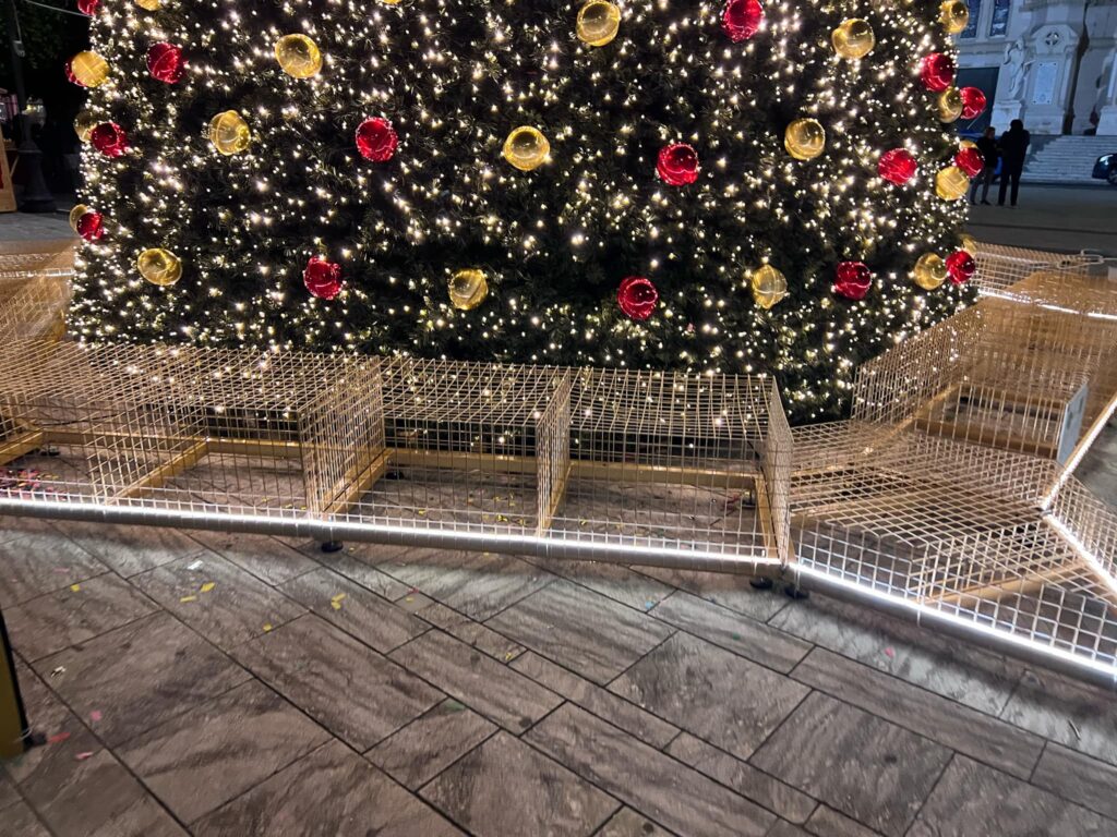 gabbia attorno all'albero di natale