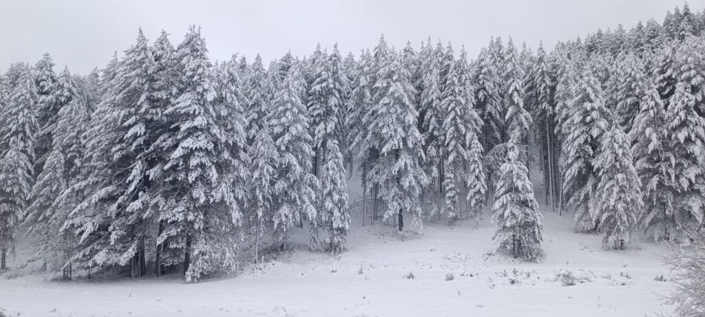 neve sila 23 dicembre 2024