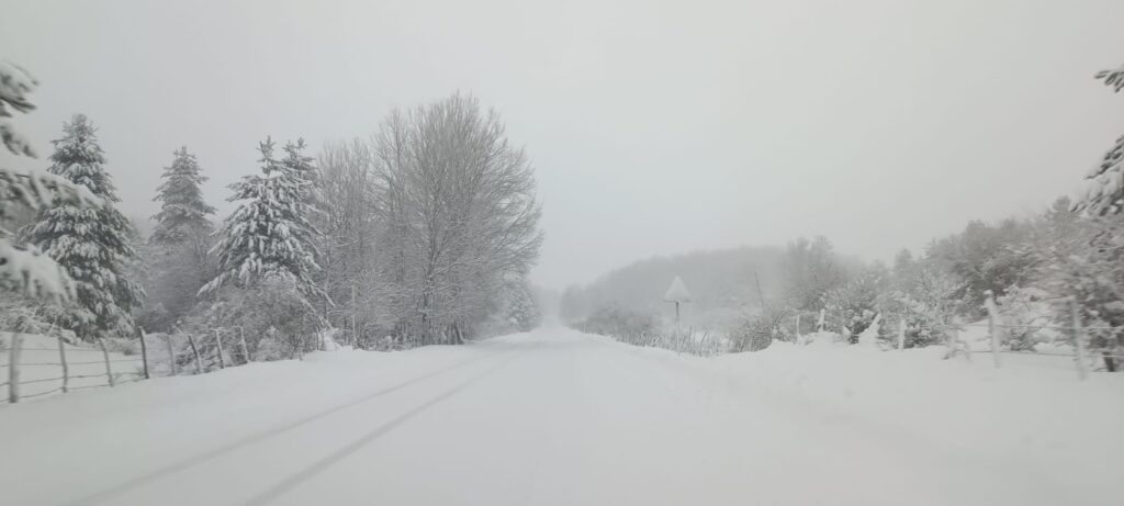 neve sila 23 dicembre 2024