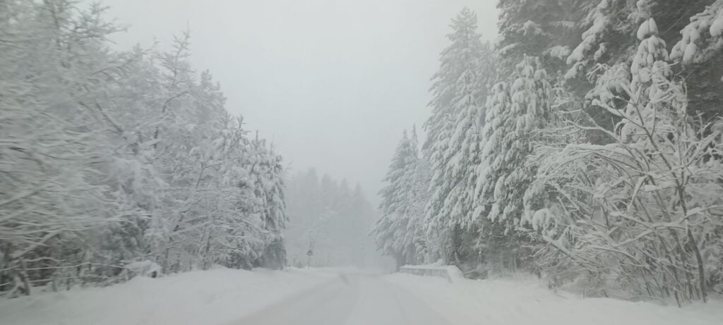 neve sila 23 dicembre 2024