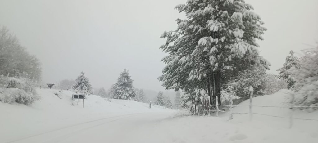 neve sila 23 dicembre 2024