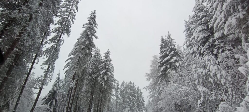 neve sila 23 dicembre 2024