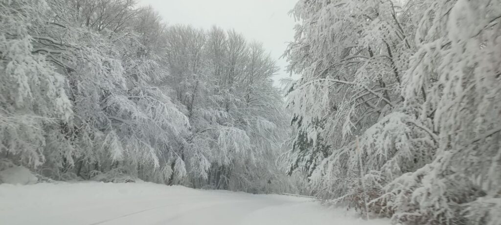 neve sila 23 dicembre 2024