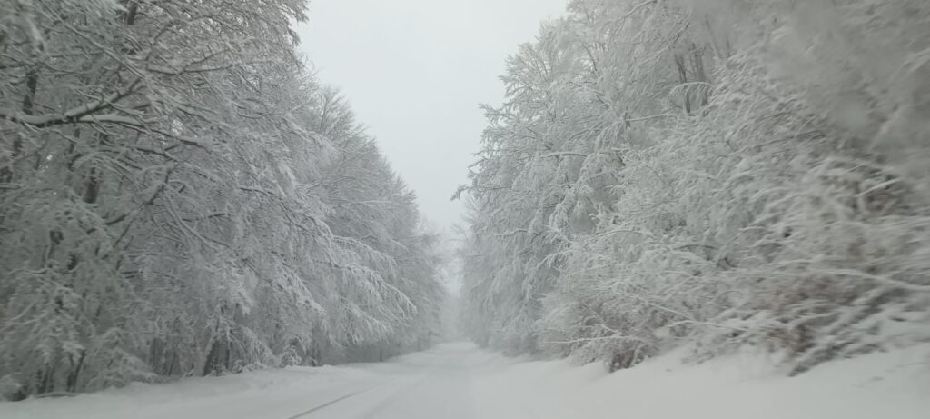 neve sila 23 dicembre 2024