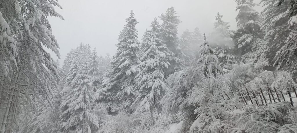 neve sila 23 dicembre 2024