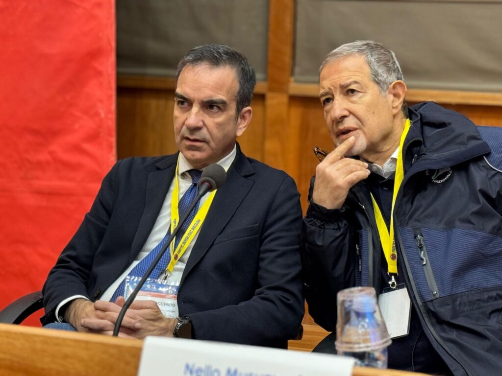 occhiuto musumeci