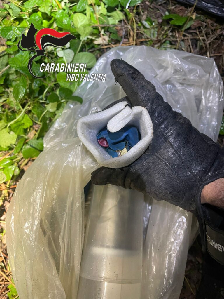 sequestrate armi e droga a San Costantino Calabro