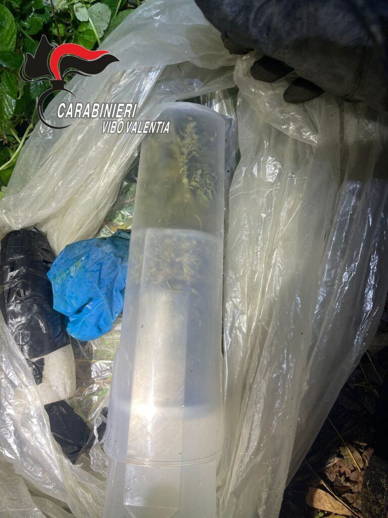 sequestrate armi e droga a San Costantino Calabro