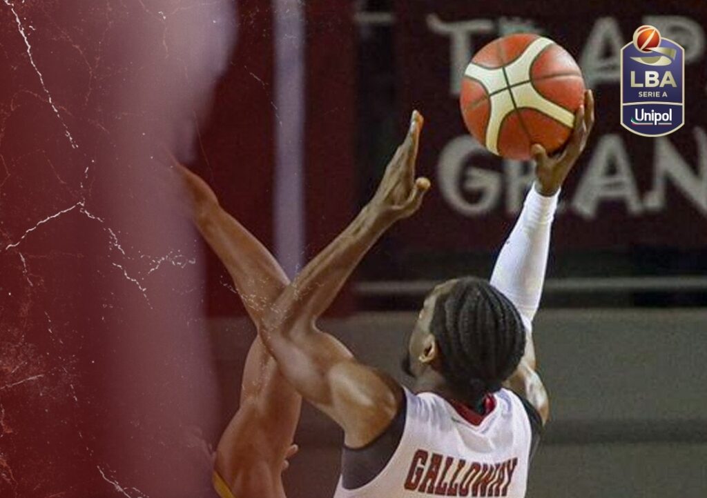 Galloway Trapani Shark