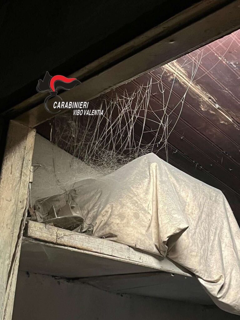 Irregolarità panificio Vibo Marina