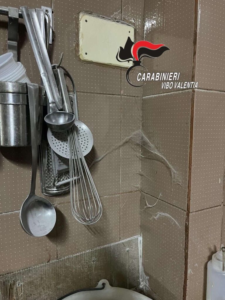 Irregolarità panificio Vibo Marina