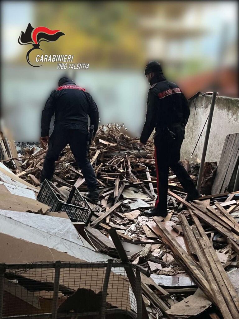 Irregolarità panificio Vibo Marina