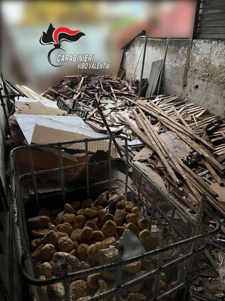 Irregolarità panificio Vibo Marina