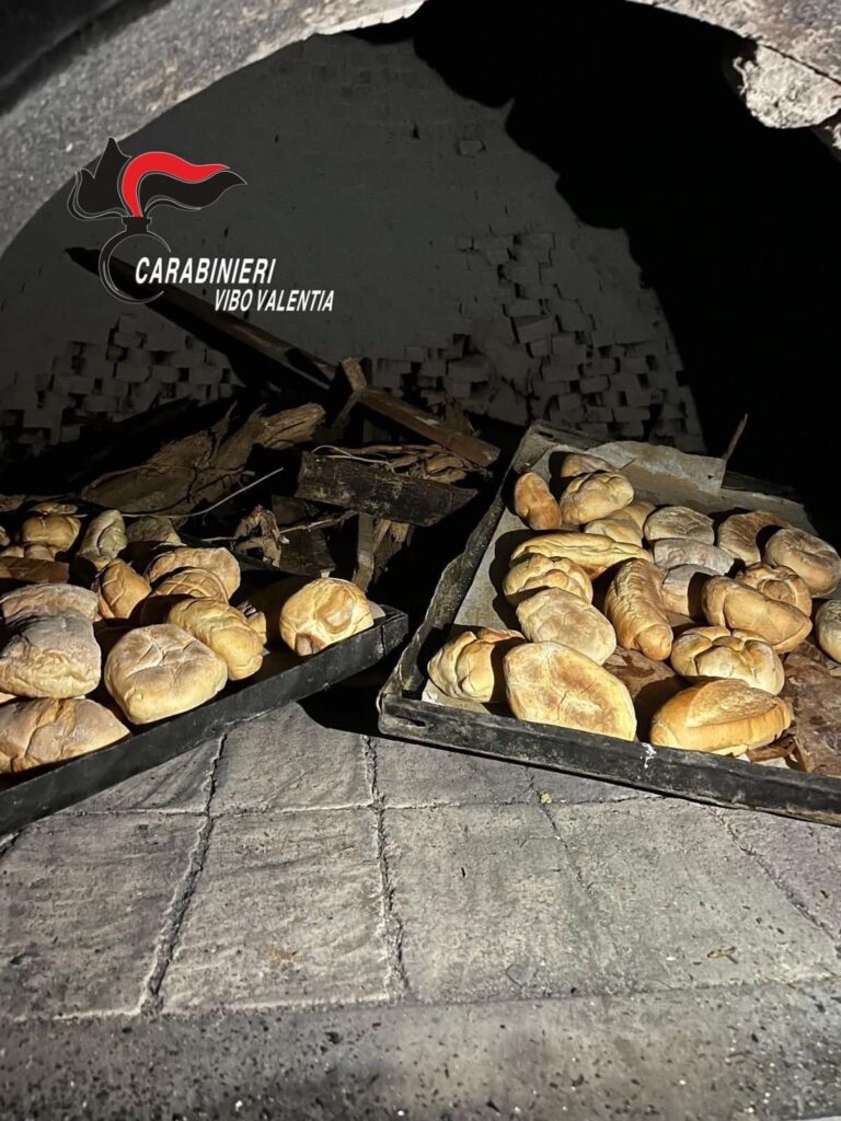 Irregolarità panificio Vibo Marina