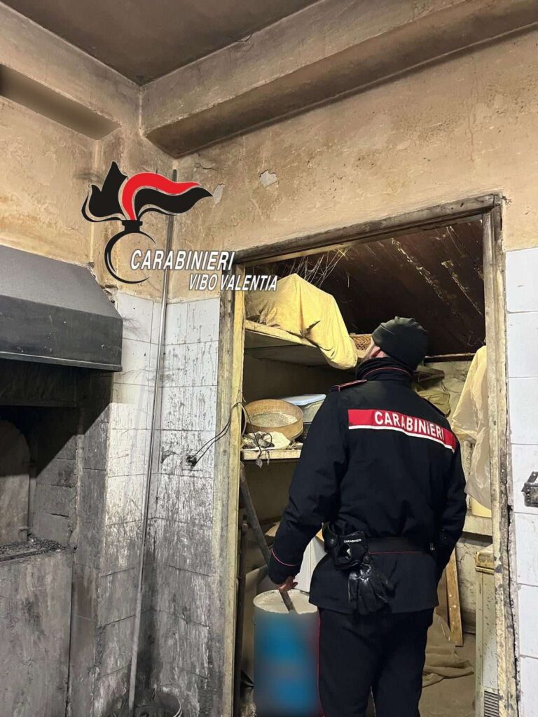 Irregolarità panificio Vibo Marina