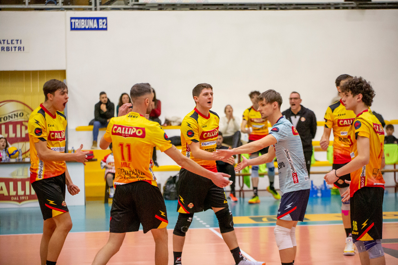 SERIE B TONNO CALLIPO VOLLEY