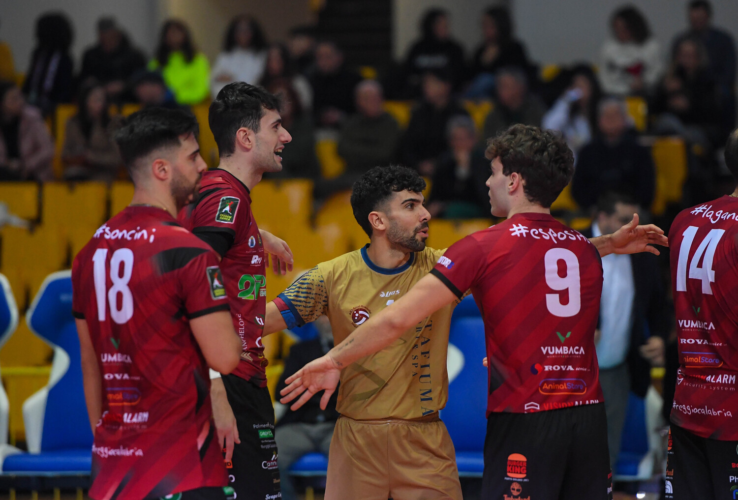 Saverio De Santis Domotek Volley