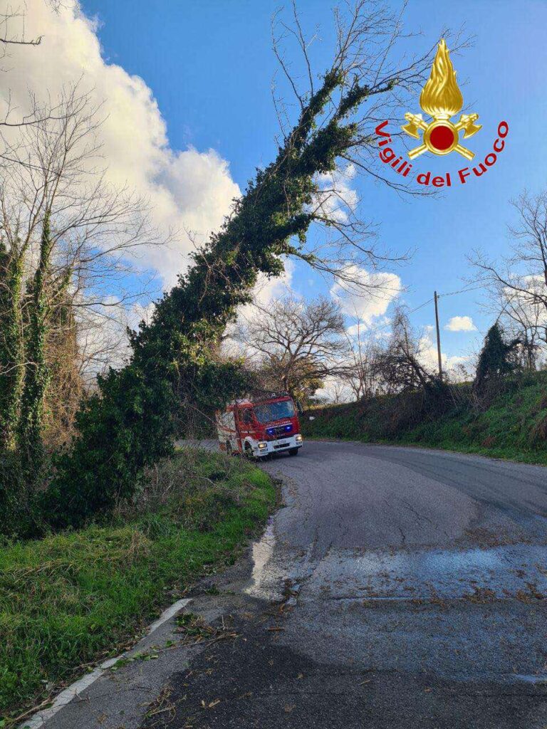 Soccorsi Vigili del Fuoco maltempo Vibo Valentia