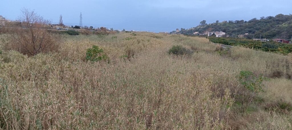 Stato di degrado della Fiumara del Gallico