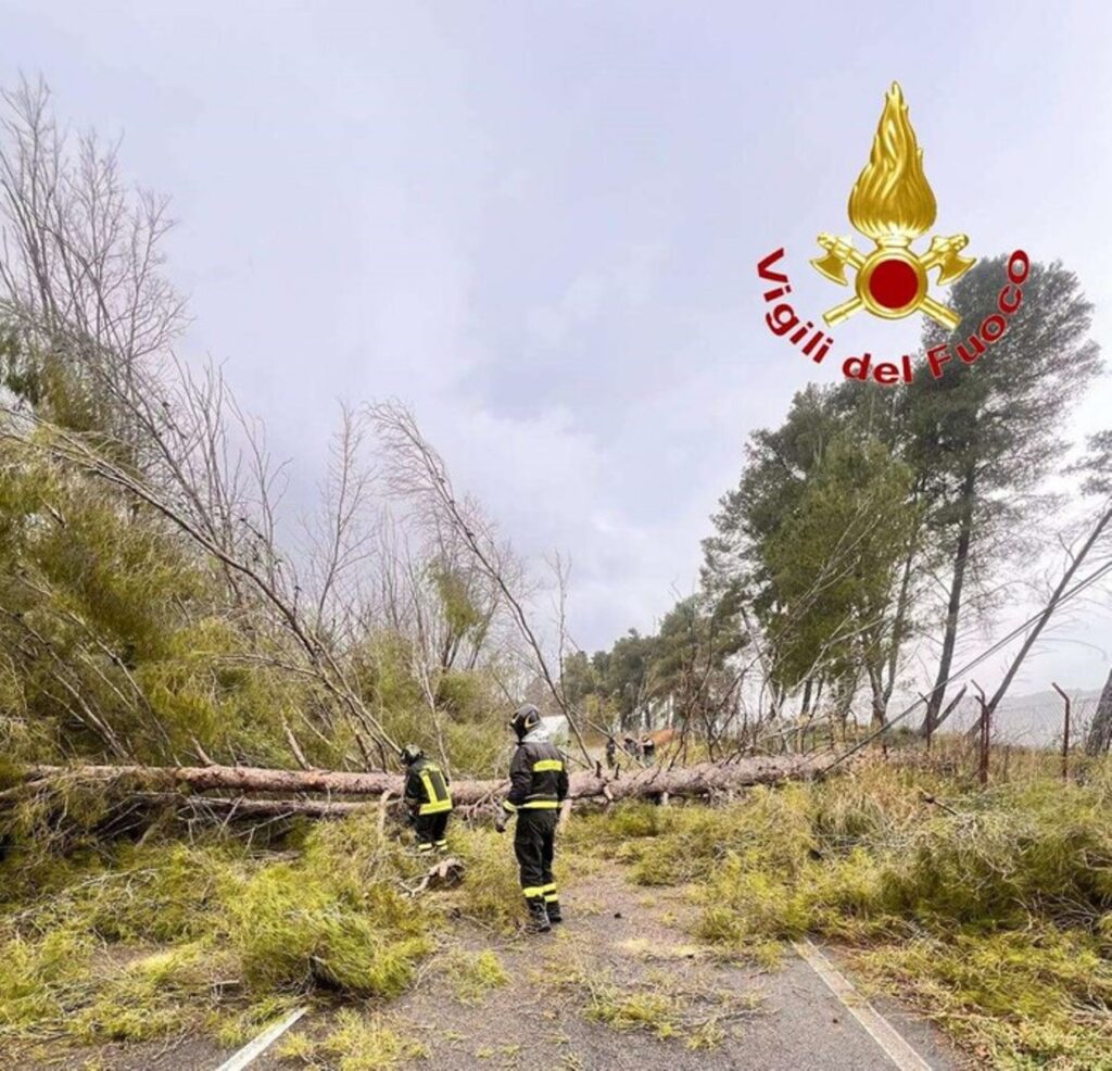 alberi caduti vigili del fuoco