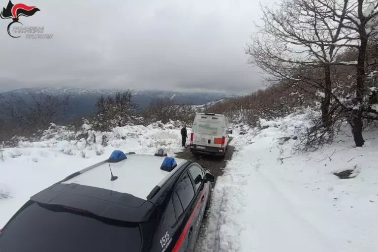 camion bloccato nella neve