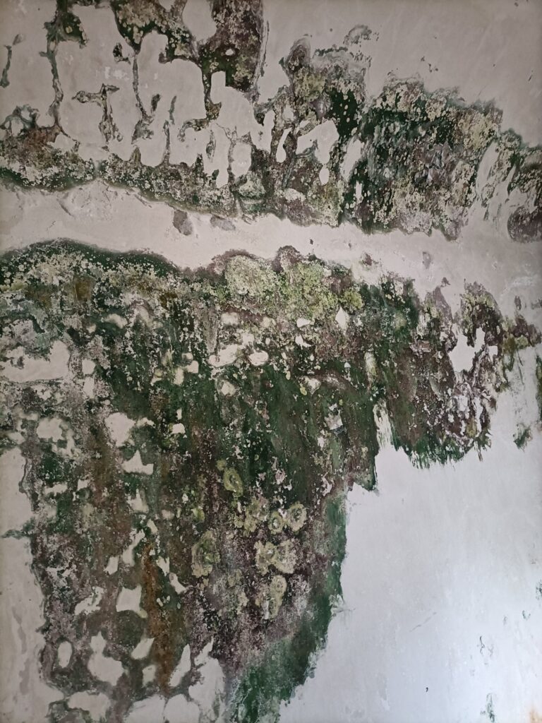 fortino pentimele vandalizzato