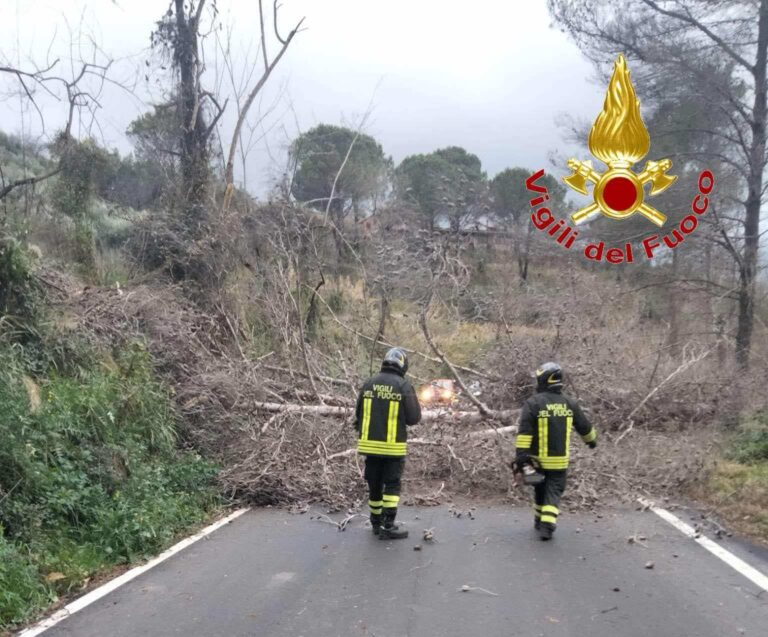 interventi vigili del fuoco