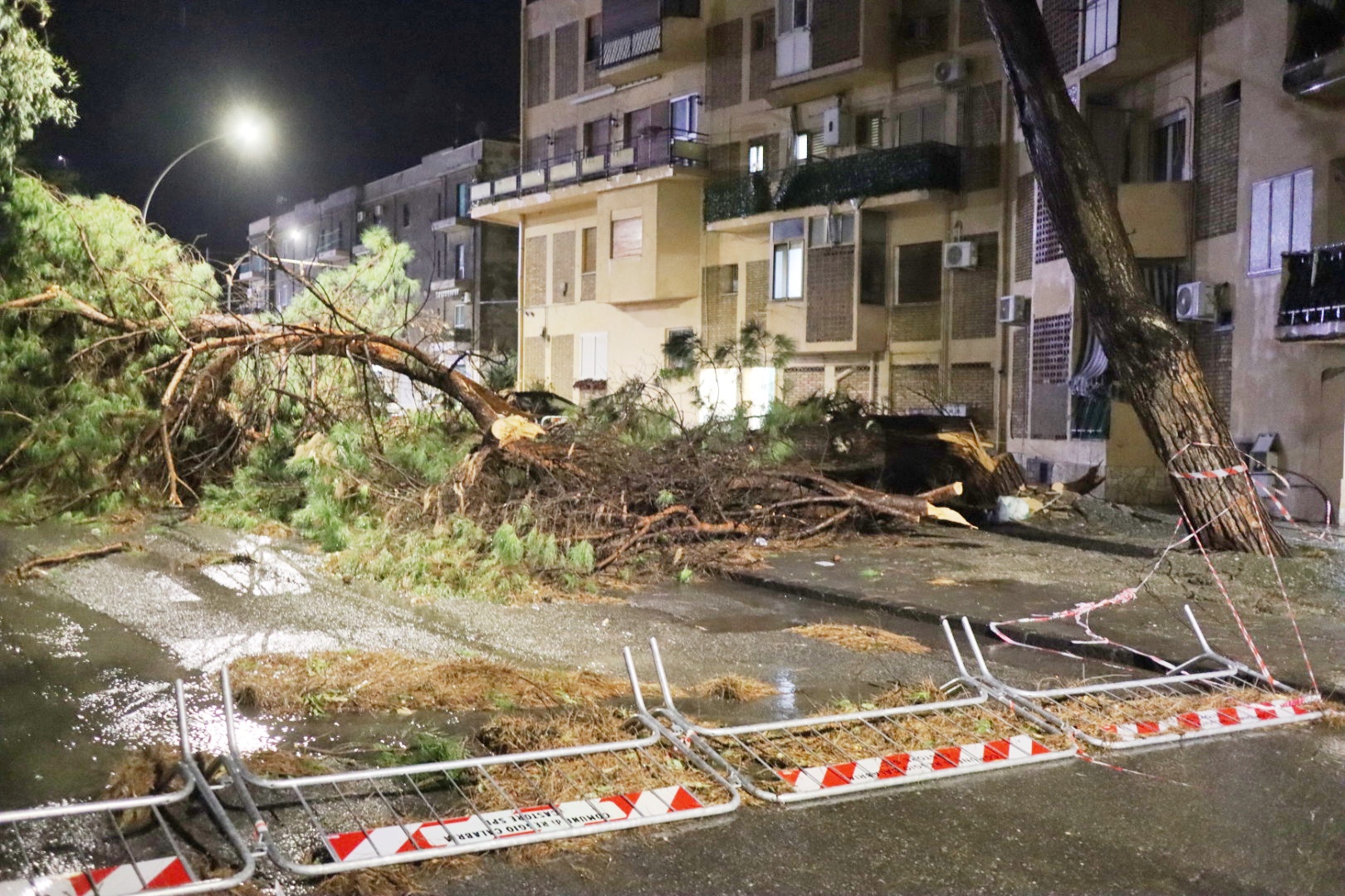 maltempo reggio 17 gennaio 2025 (4)