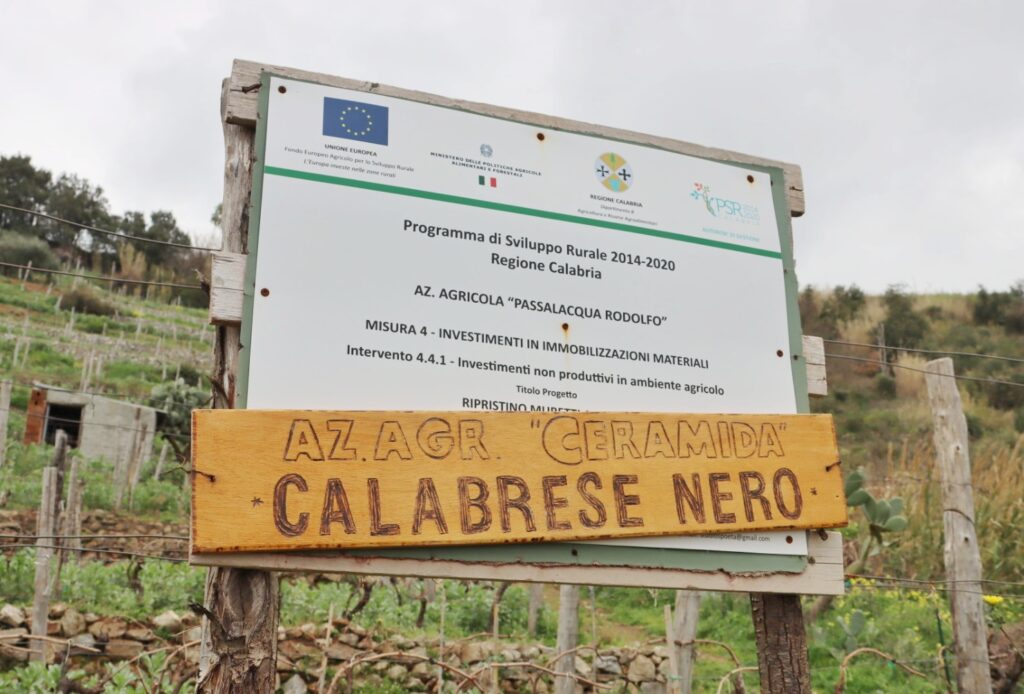 Azienda Agricola Ceramida Bagnara