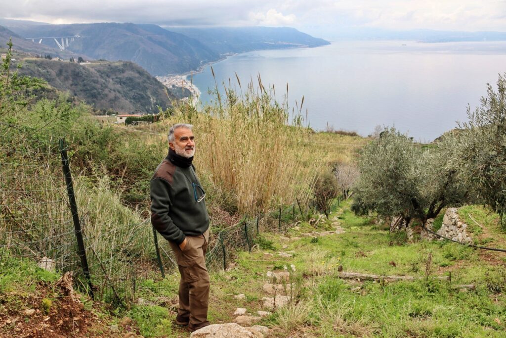 Azienda Agricola Ceramida Bagnara